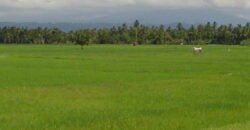 Chennai Farm land for sale in Siruvapuri Near Karanodai Redhills