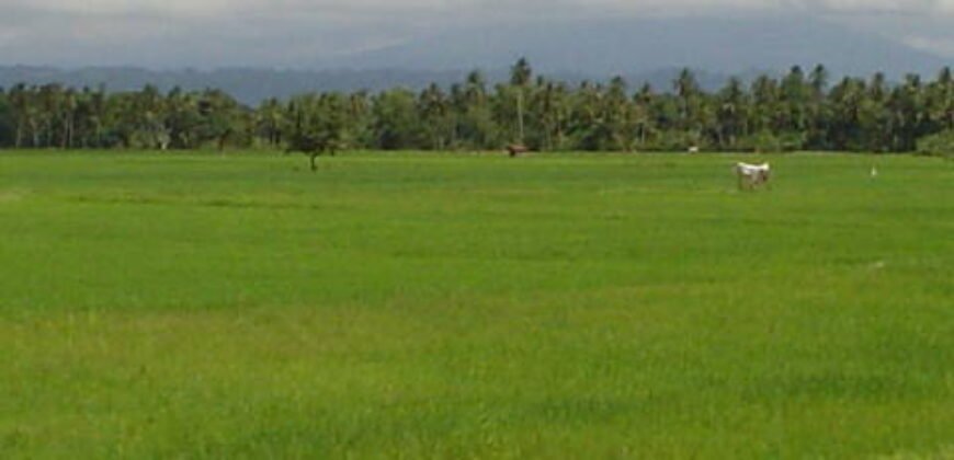 Chennai Farm land for sale in Siruvapuri Near Karanodai Redhills